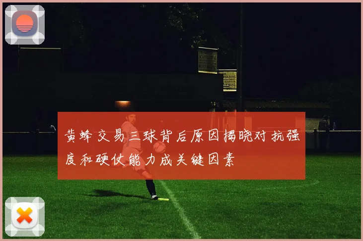 黄蜂交易三球背后原因揭晓对抗强度和硬仗能力成关键因素