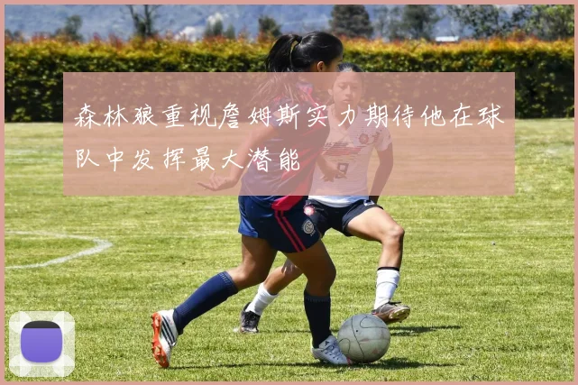 森林狼重视詹姆斯实力期待他在球队中发挥最大潜能